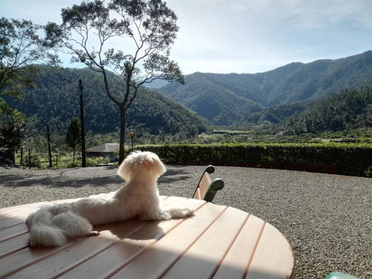 Song Lin Homestay Dongshan  Buitenkant foto